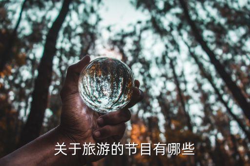 國外旅游的綜藝節目有哪些，求介紹國外的旅游節目...